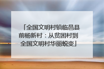 全国文明村镇临邑县前杨新村：从贫困村到全国文明村华丽蜕变